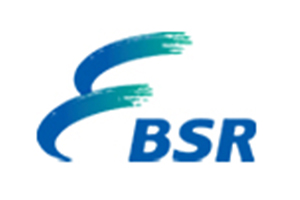  BSR