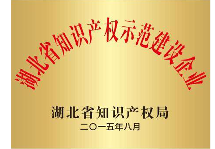  湖北省知(zhī)識産權示範建設企業